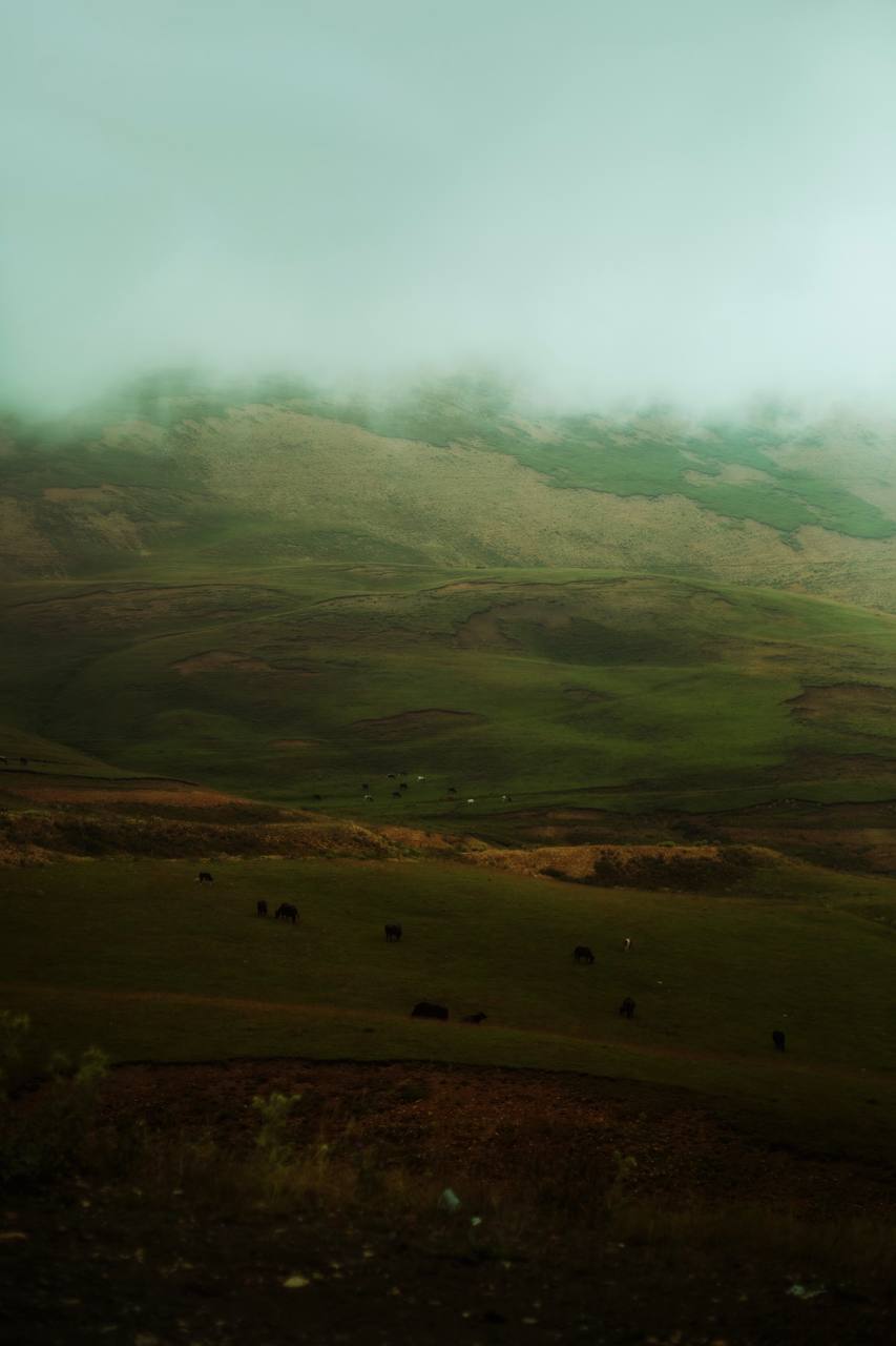 تصویر باکیفیت از طبیعت بکر اردبیل
